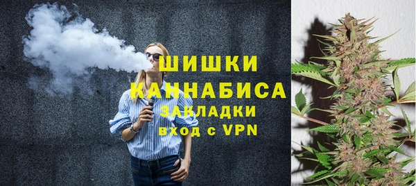 крисы Абаза
