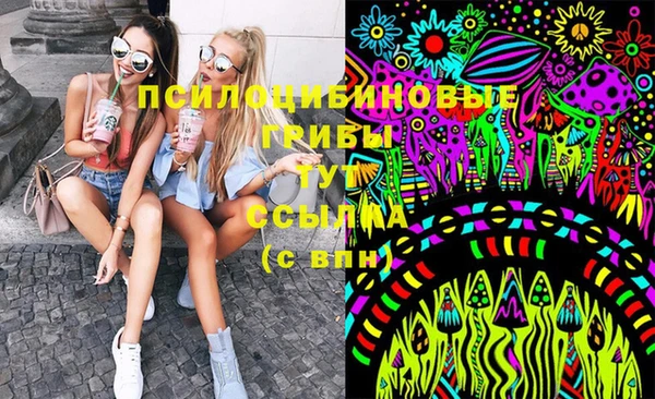 крисы Абаза