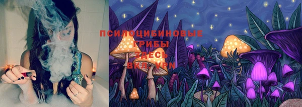 МДПВ Абдулино